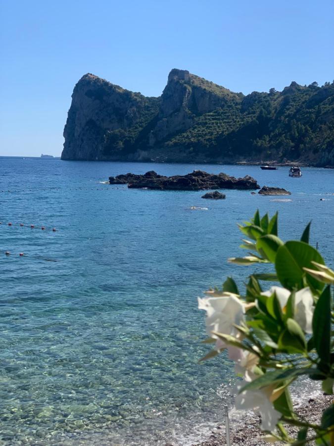 L'Angolo di Felicia Nerano Esterno foto