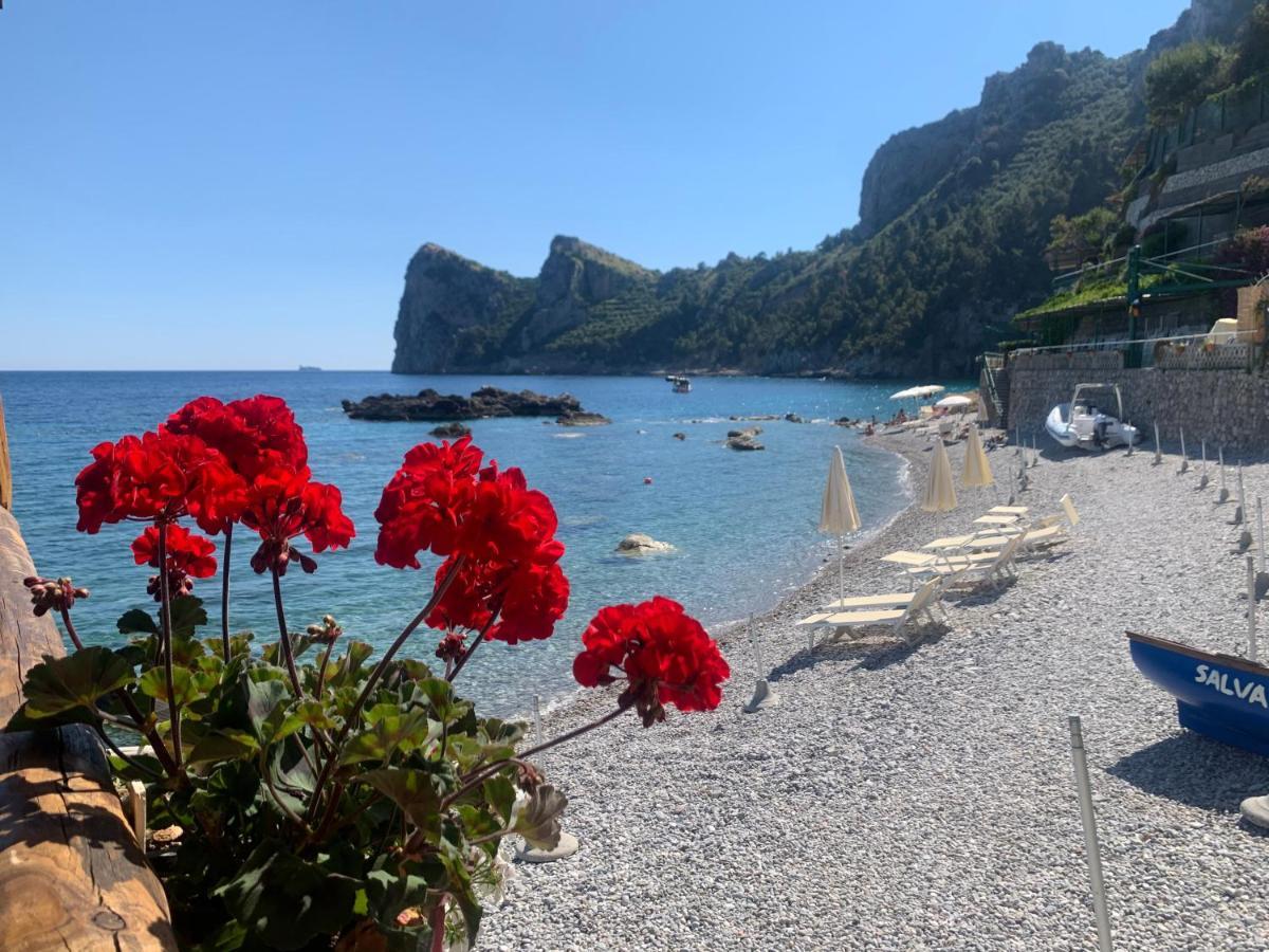 L'Angolo di Felicia Nerano Esterno foto