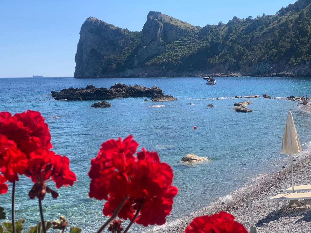 L'Angolo di Felicia Nerano Esterno foto